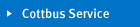 Cottbus Service
