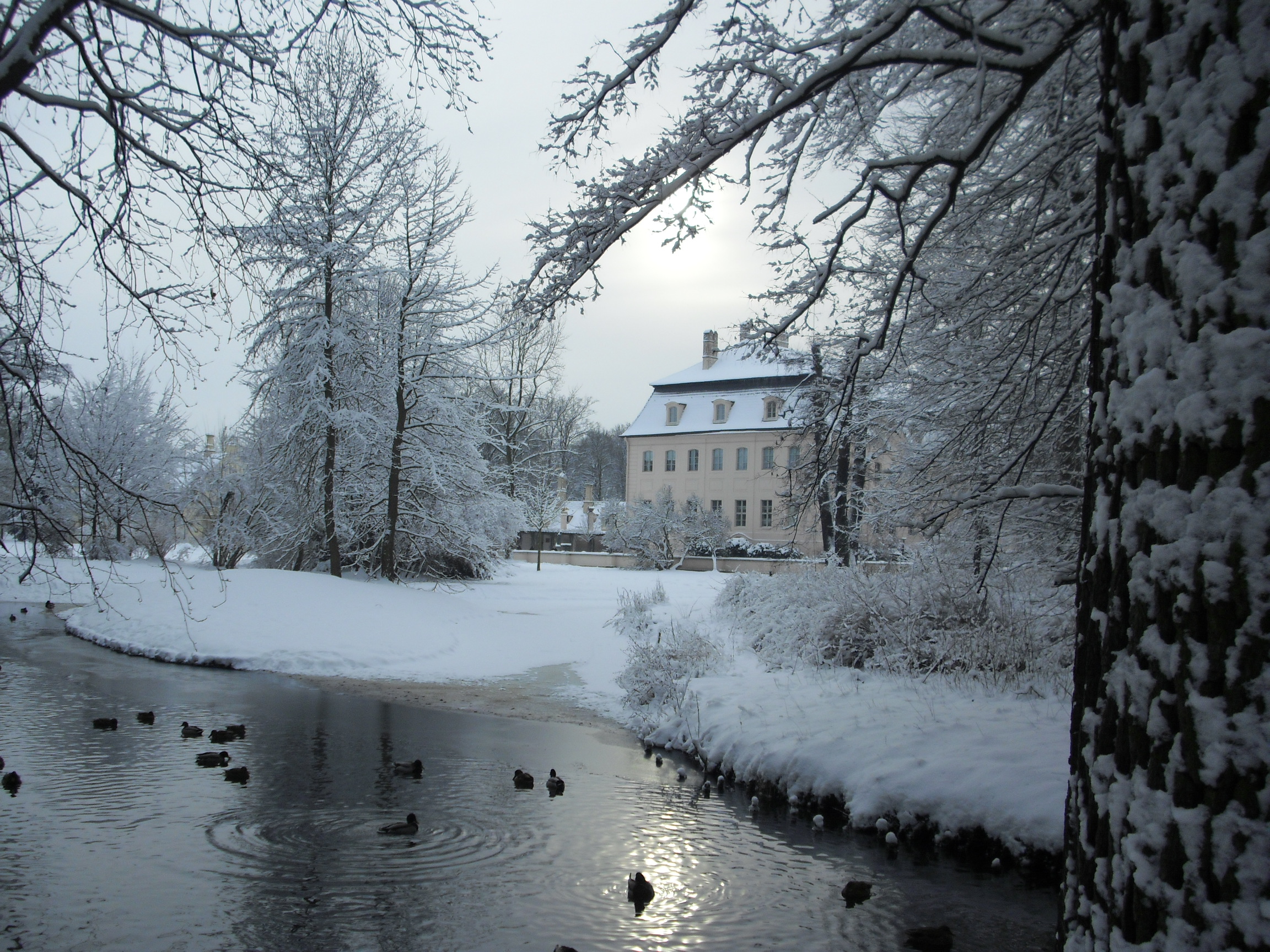 Schlo Branitz im Winter